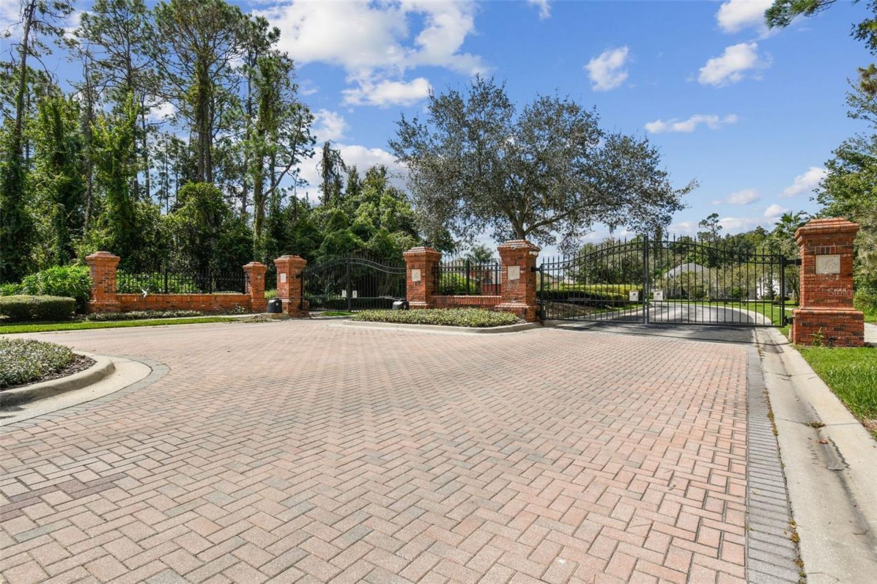 26848 Shoregrass Drive, Wesley Chapel, FL 33544 Photo