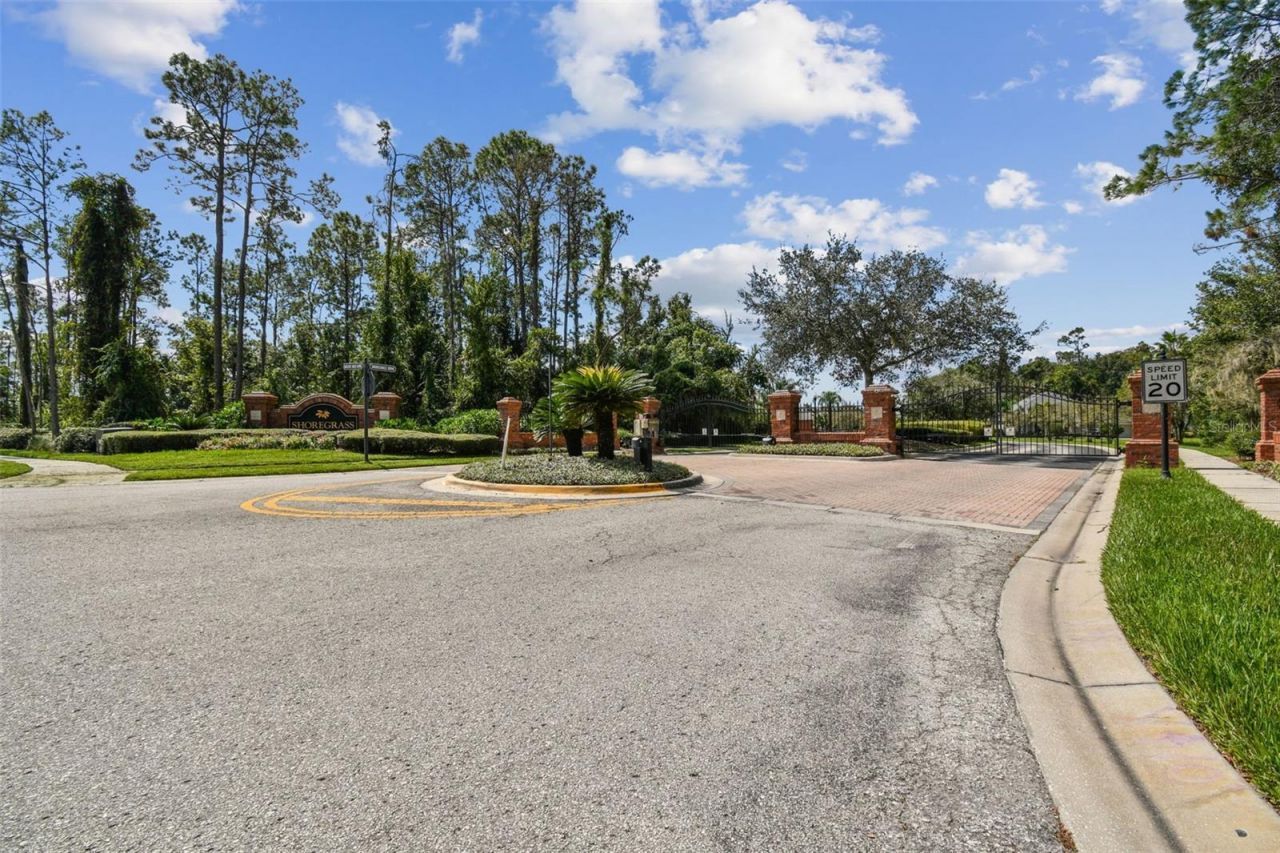 26848 Shoregrass Drive, Wesley Chapel, FL 33544 Photo