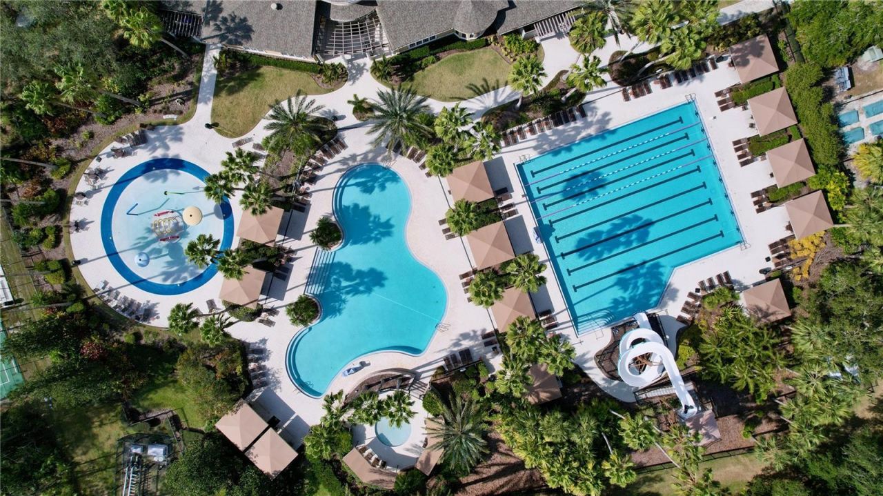 26848 Shoregrass Drive, Wesley Chapel, FL 33544 Photo