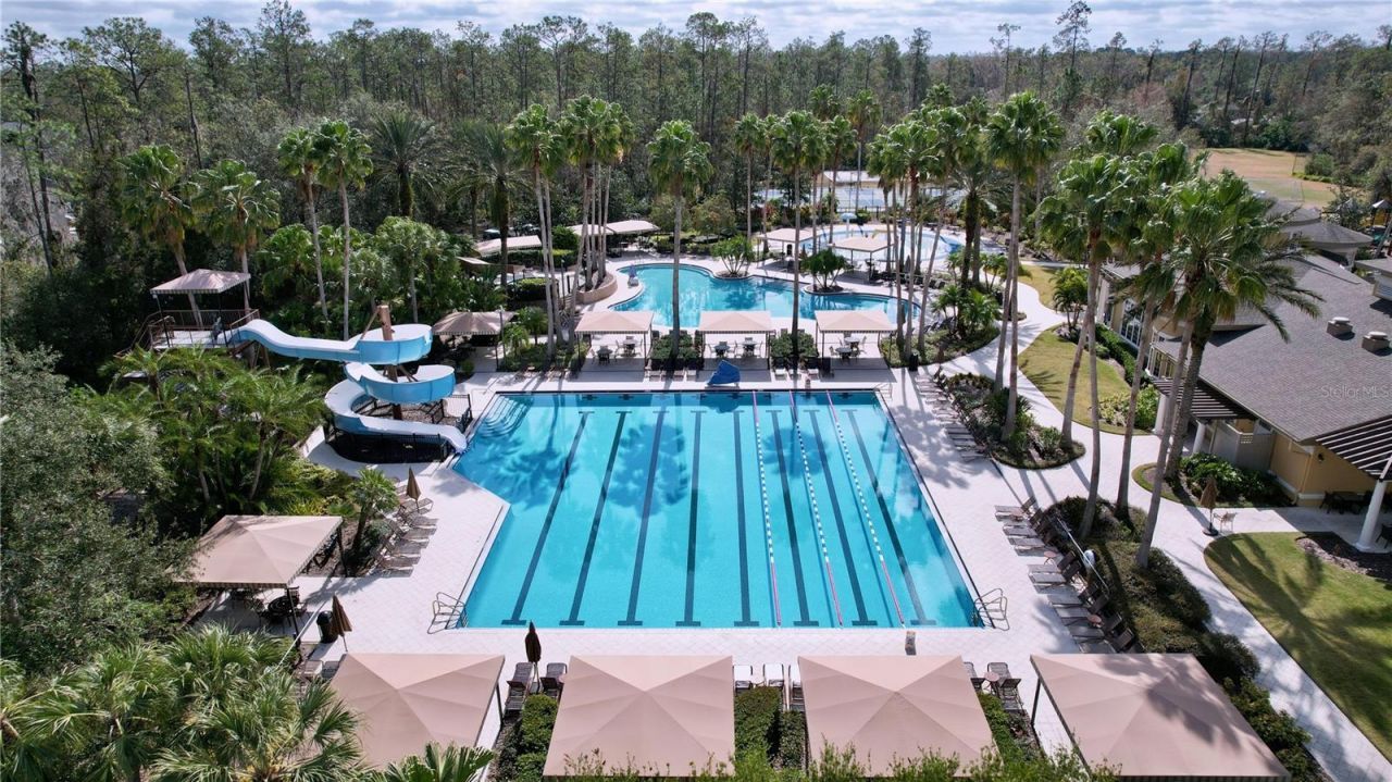 26848 Shoregrass Drive, Wesley Chapel, FL 33544 Photo