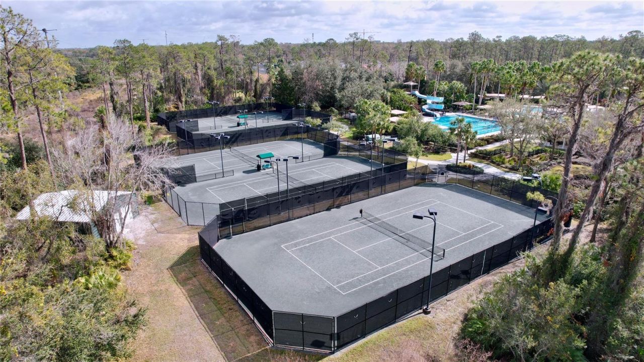 26848 Shoregrass Drive, Wesley Chapel, FL 33544 Photo