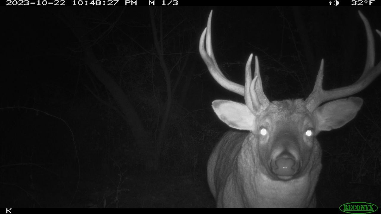 00 Wheat Hollow Road, Cazenovia, WI 53924 Main Photo