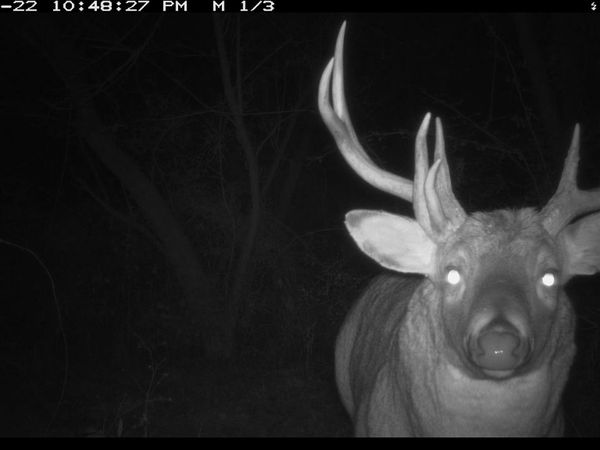 00 Wheat Hollow Road, Cazenovia, WI 53924