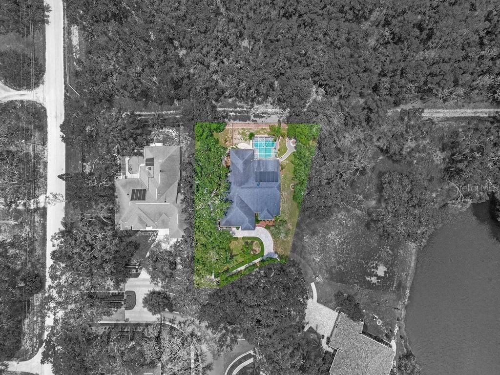 8711 Crescent Forest Boulevard, New Port Richey, FL 34654 Photo