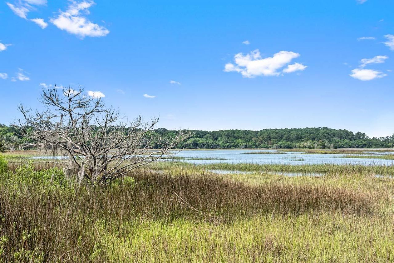 0 Allandale Plantation Road Photo 11