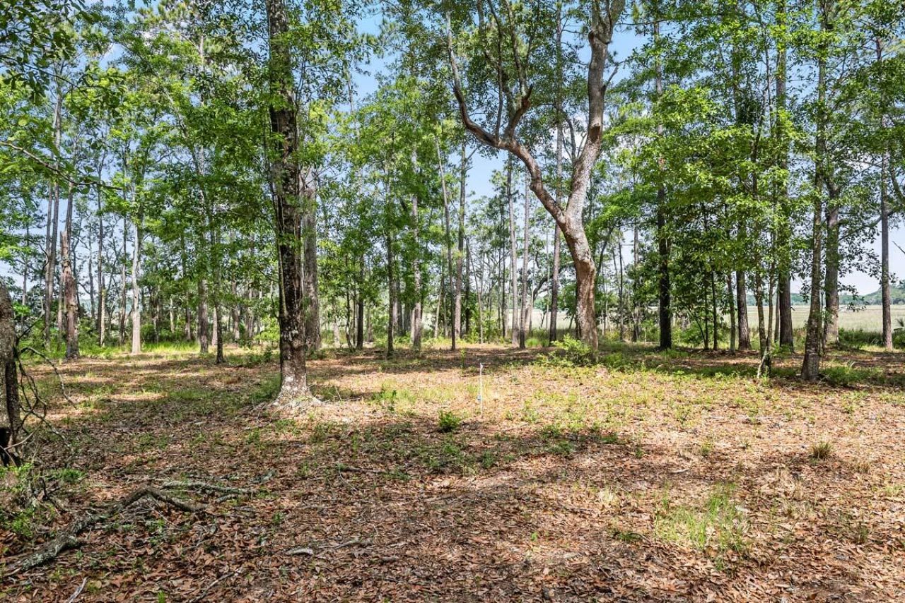 0 Allandale Plantation Road Photo 14