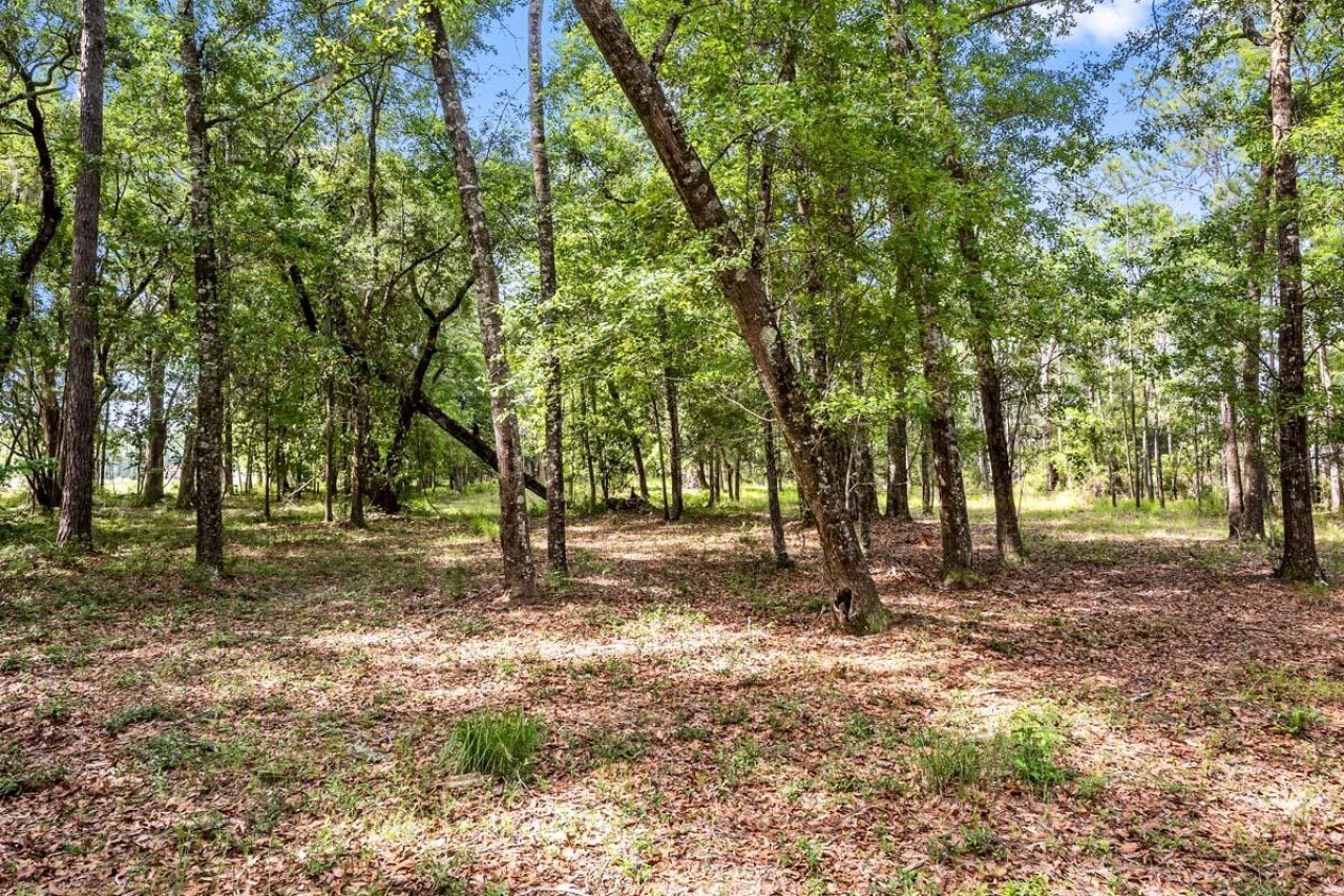 0 Allandale Plantation Road Photo 15