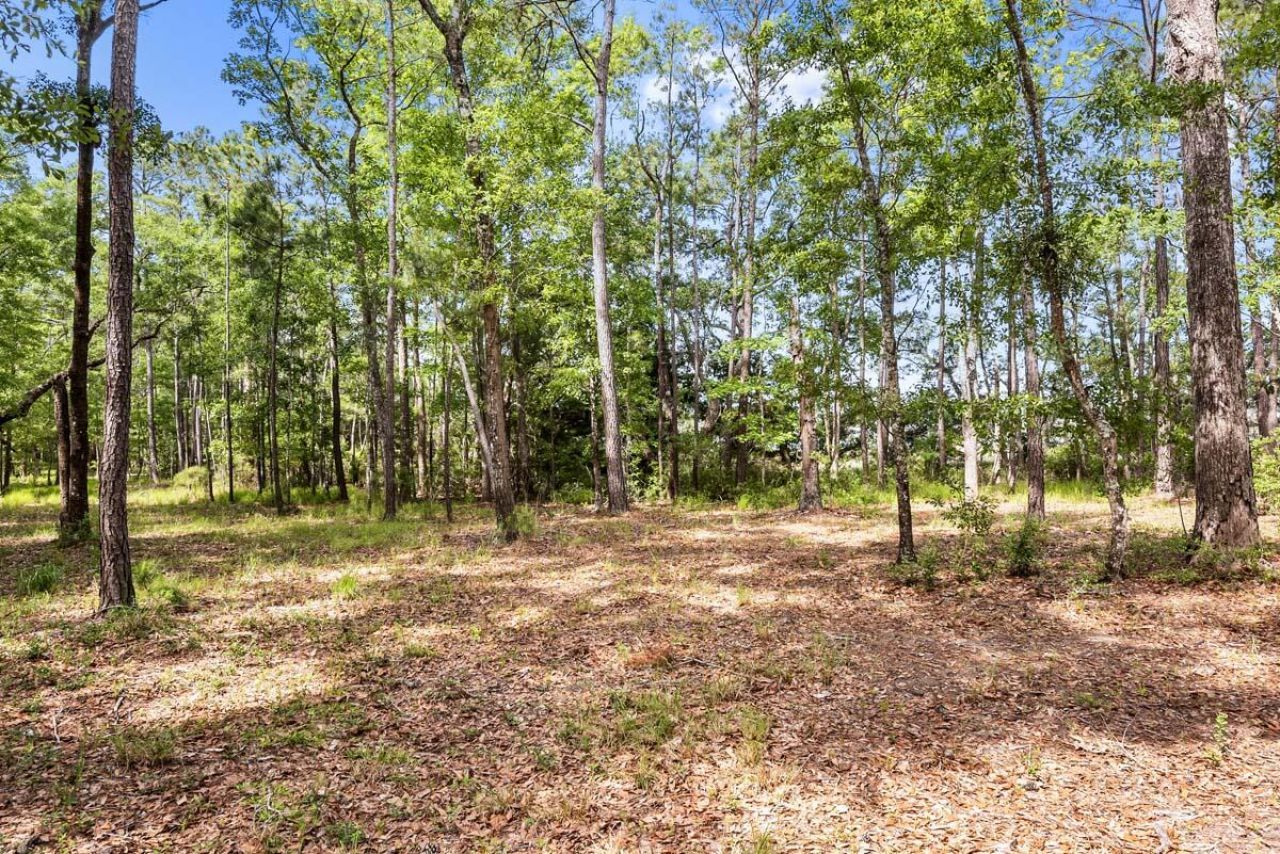 0 Allandale Plantation Road Photo 16