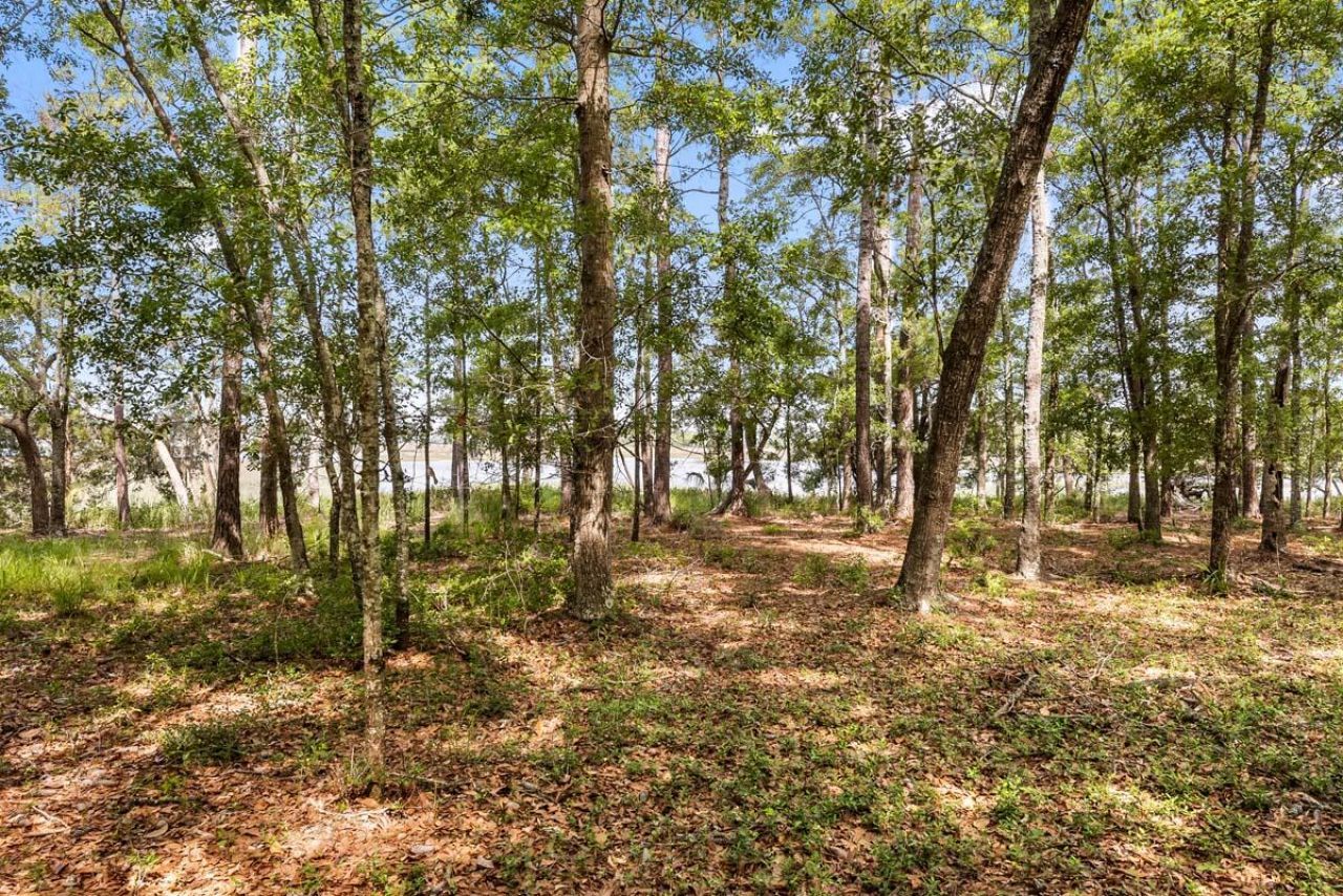 0 Allandale Plantation Road Photo 17