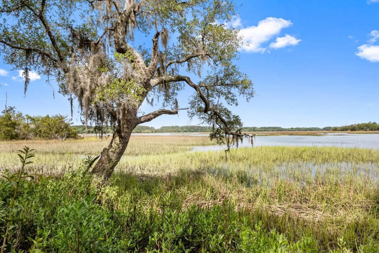 0 Allandale Plantation Road Photo 18