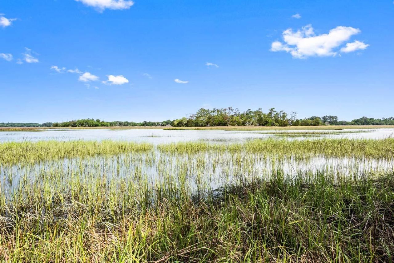 0 Allandale Plantation Road Photo 19