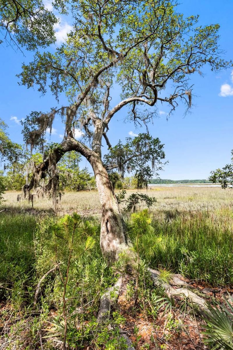 0 Allandale Plantation Road Photo 20