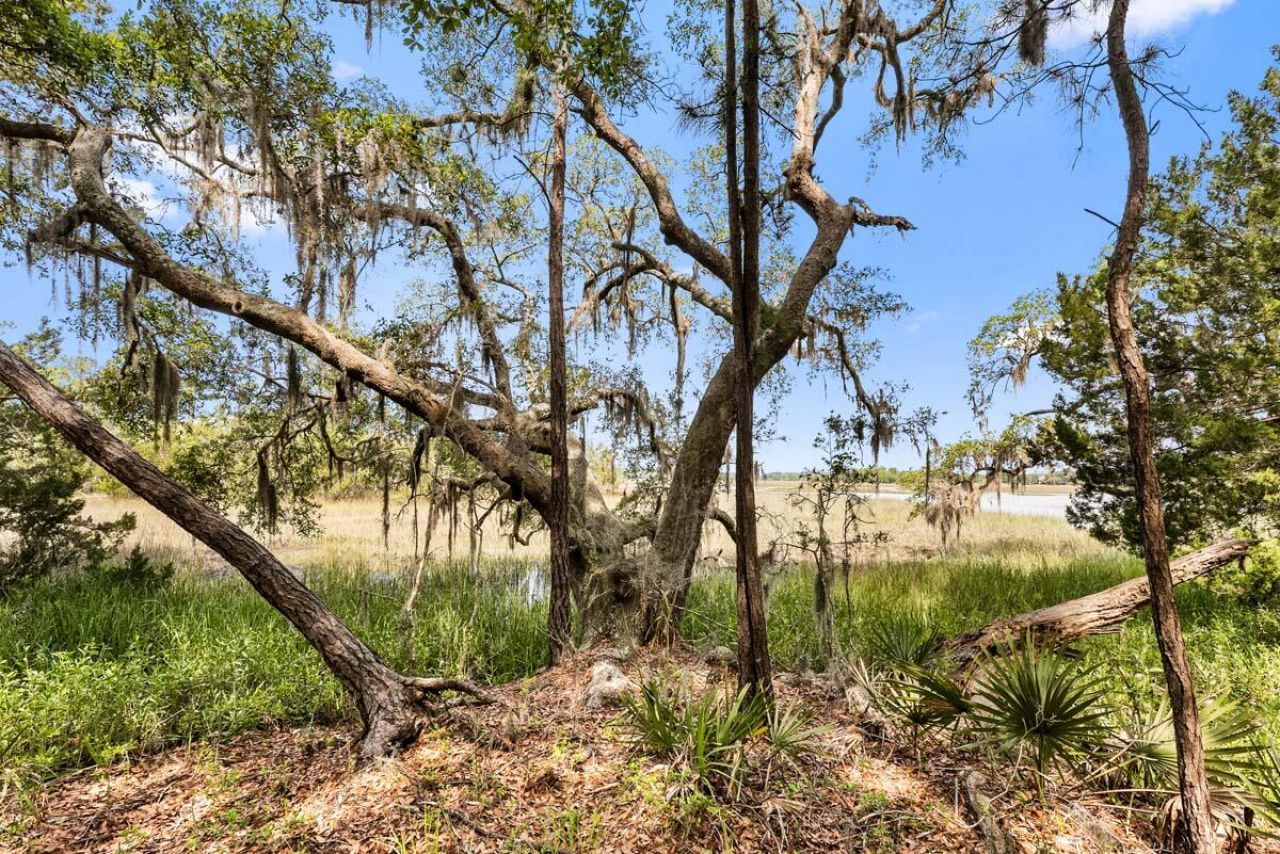 0 Allandale Plantation Road Photo 21