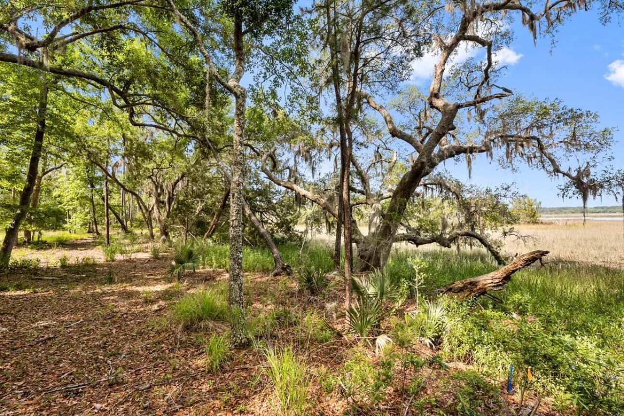 0 Allandale Plantation Road Photo 22