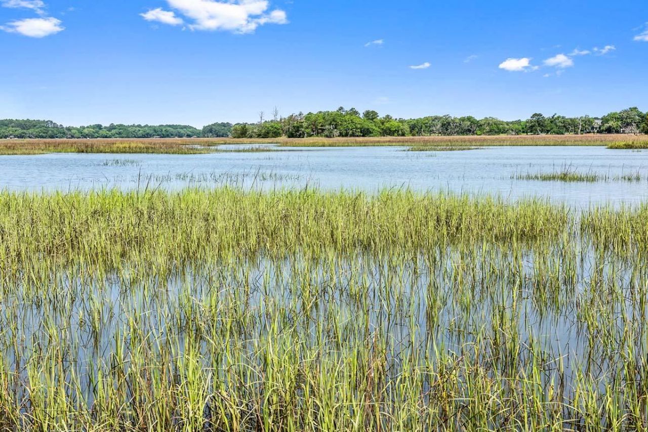 0 Allandale Plantation Road Photo 25