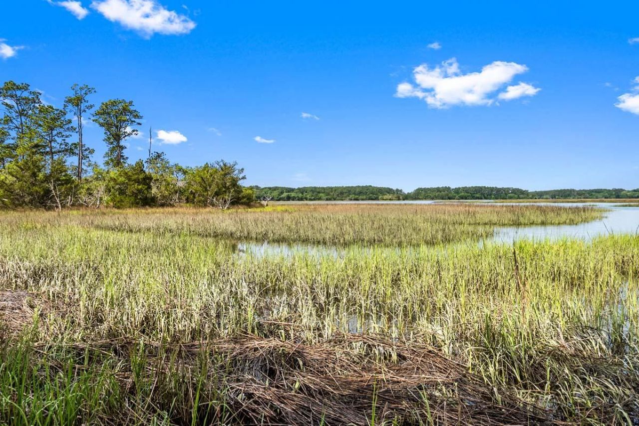 0 Allandale Plantation Road Photo 26