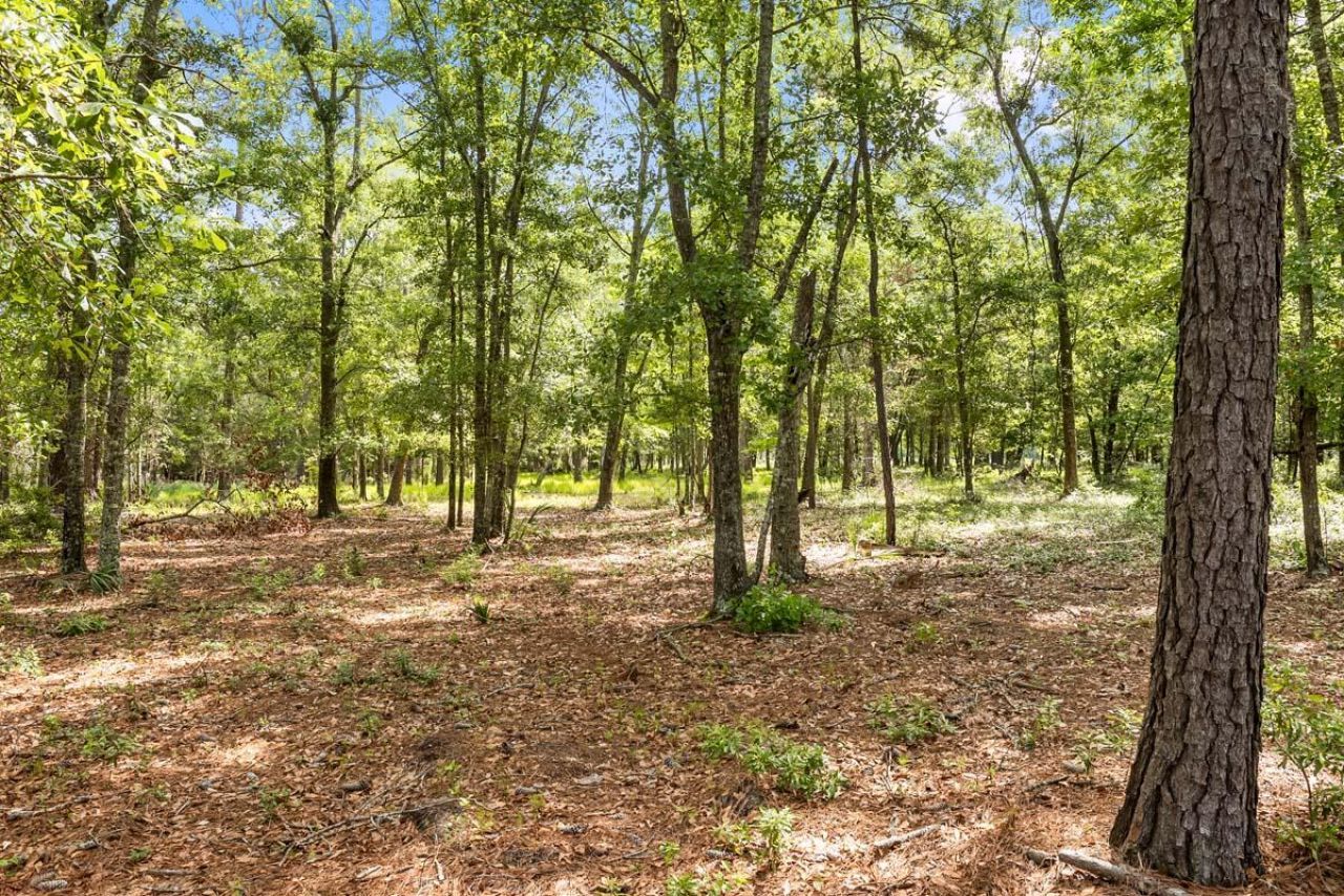 0 Allandale Plantation Road Photo 27