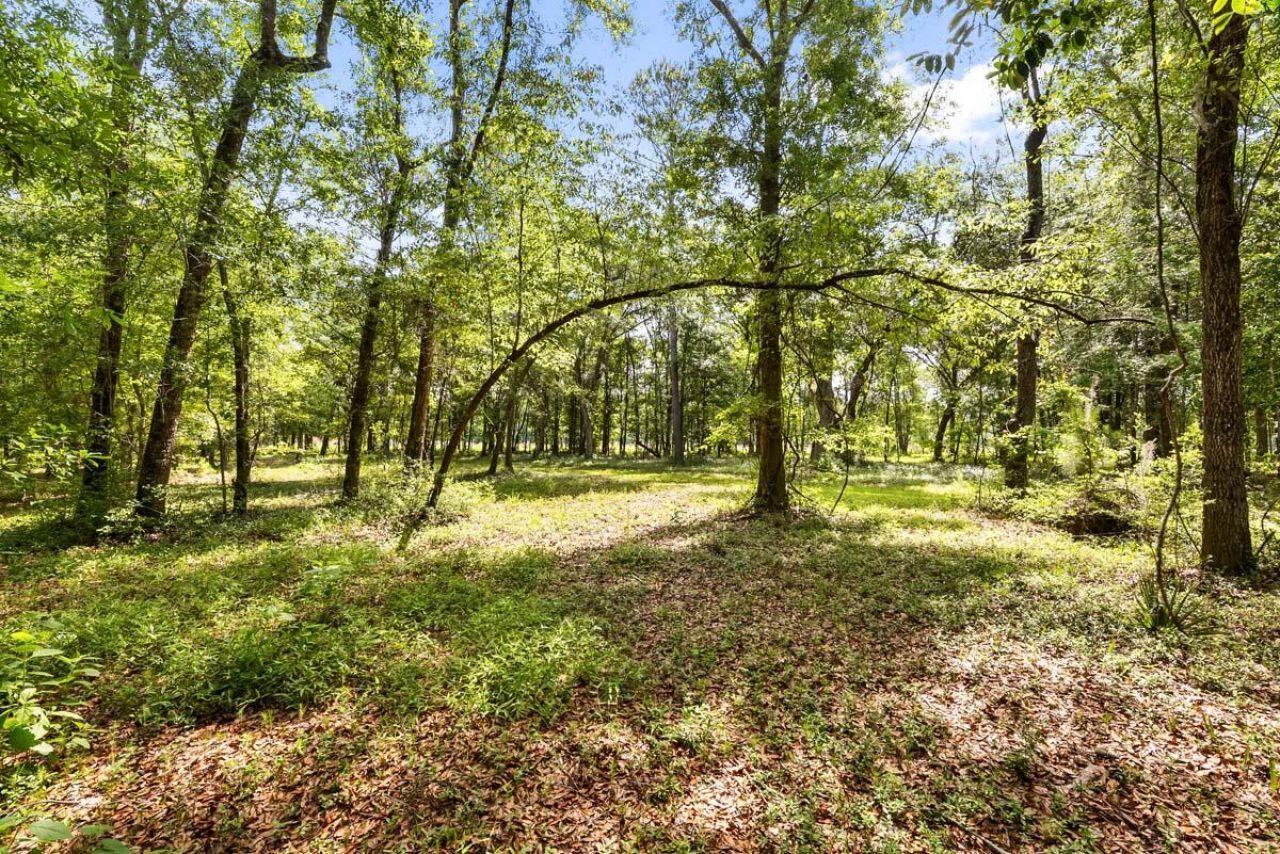 0 Allandale Plantation Road Photo 30