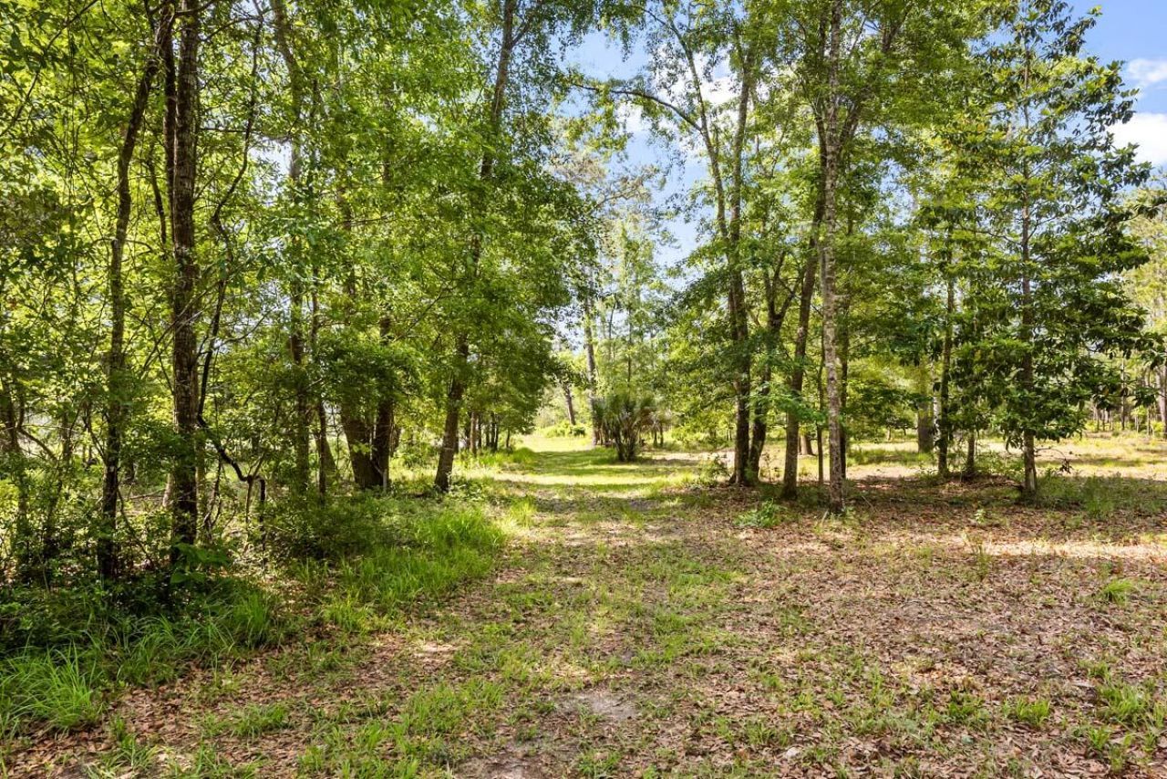 0 Allandale Plantation Road Photo 31