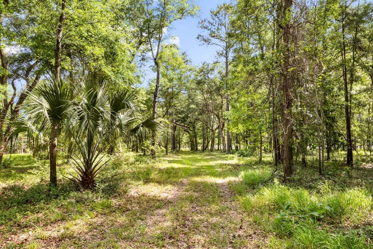 0 Allandale Plantation Road Photo 32