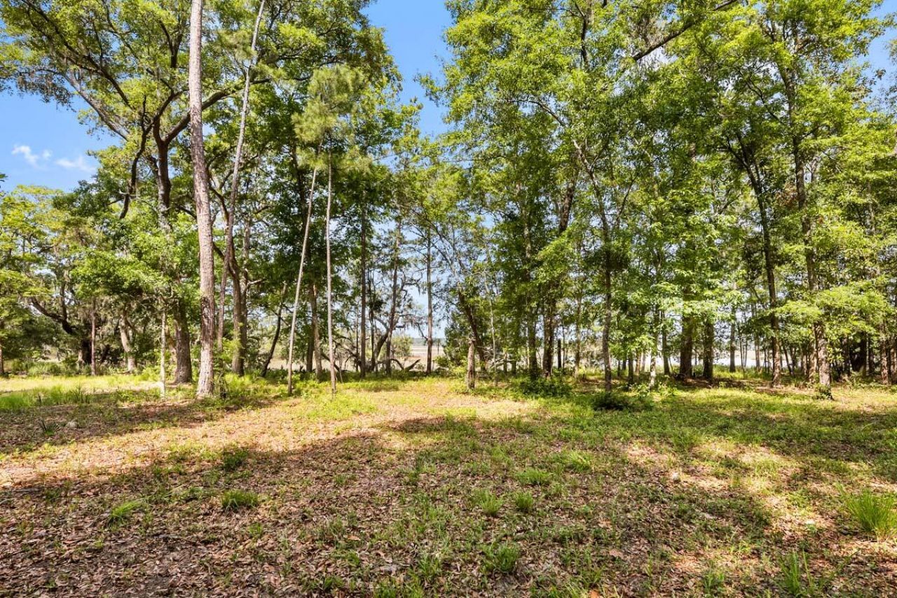 0 Allandale Plantation Road Photo 33