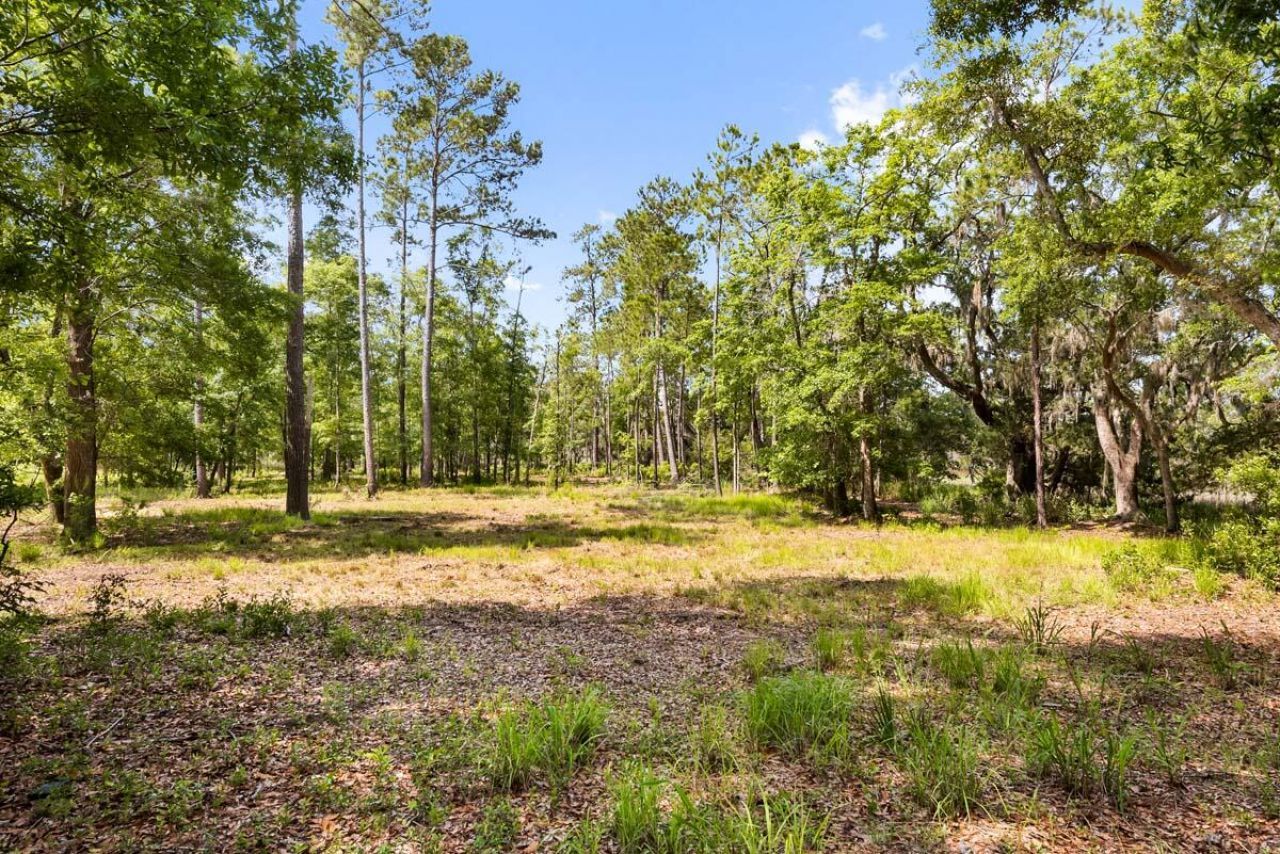 0 Allandale Plantation Road Photo 34