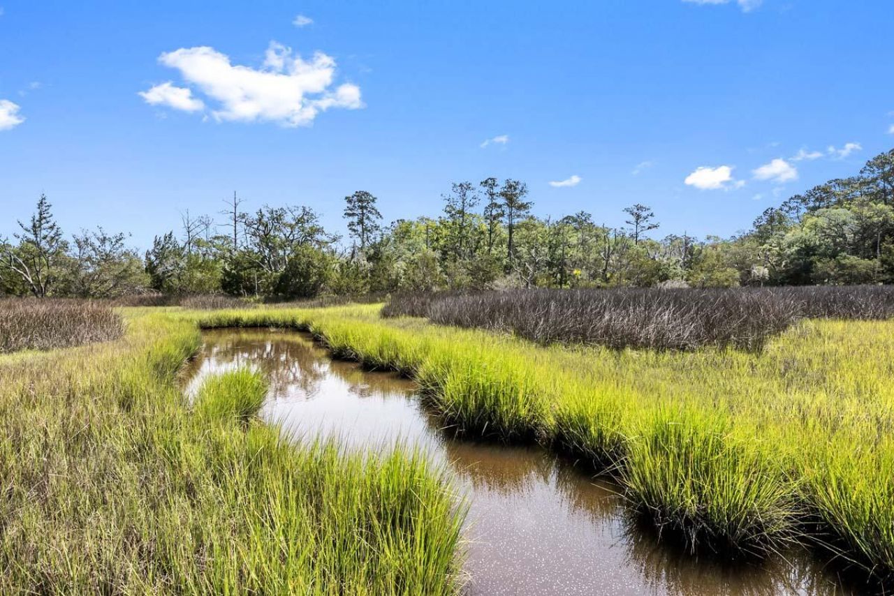 0 Allandale Plantation Road Photo 35