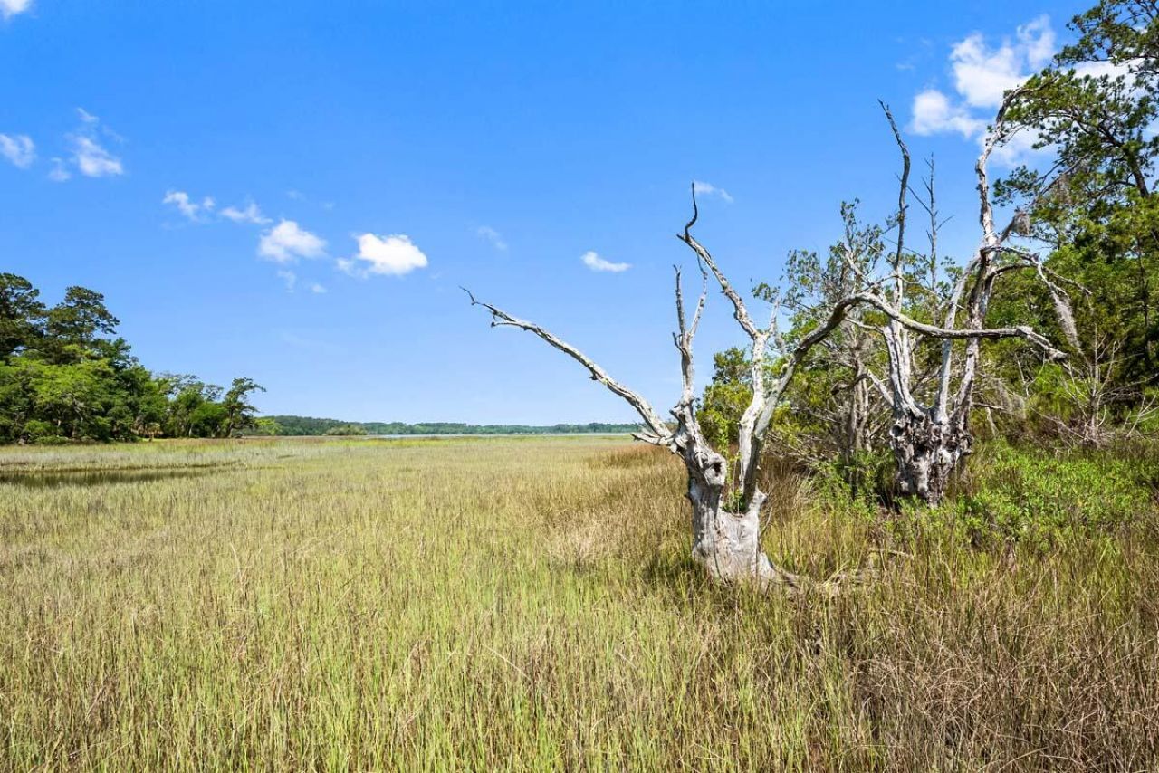 0 Allandale Plantation Road Photo 37