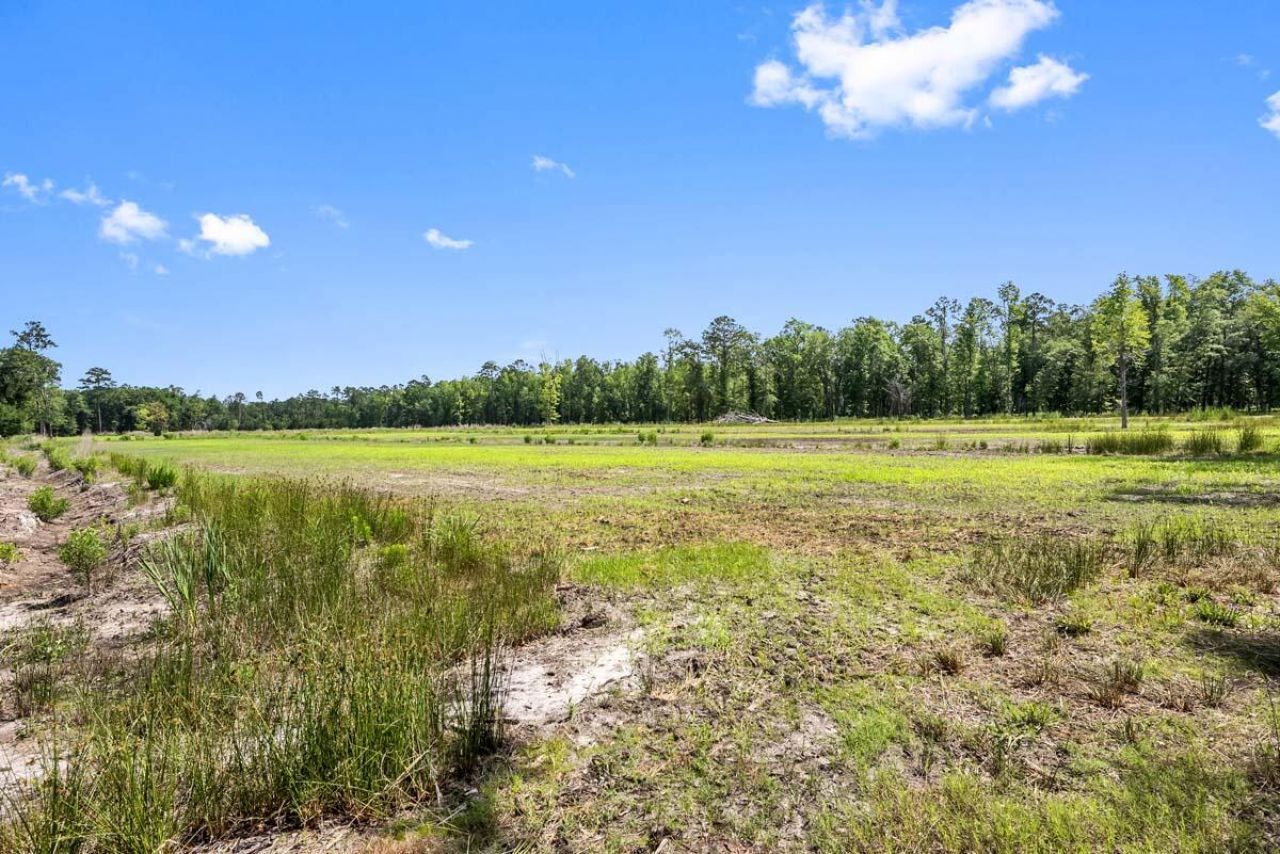 0 Allandale Plantation Road Photo 38