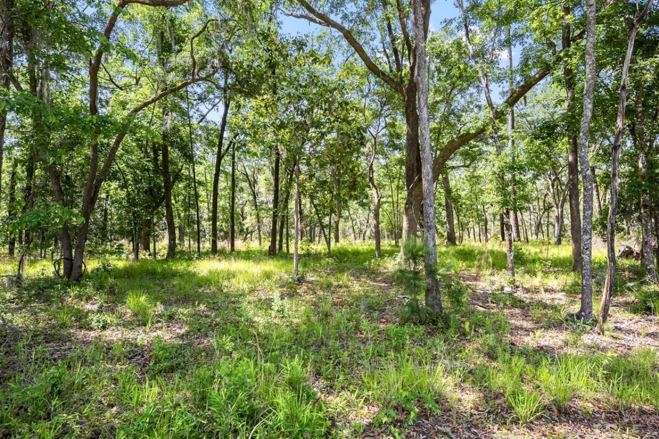 0 Allandale Plantation Road Photo 39