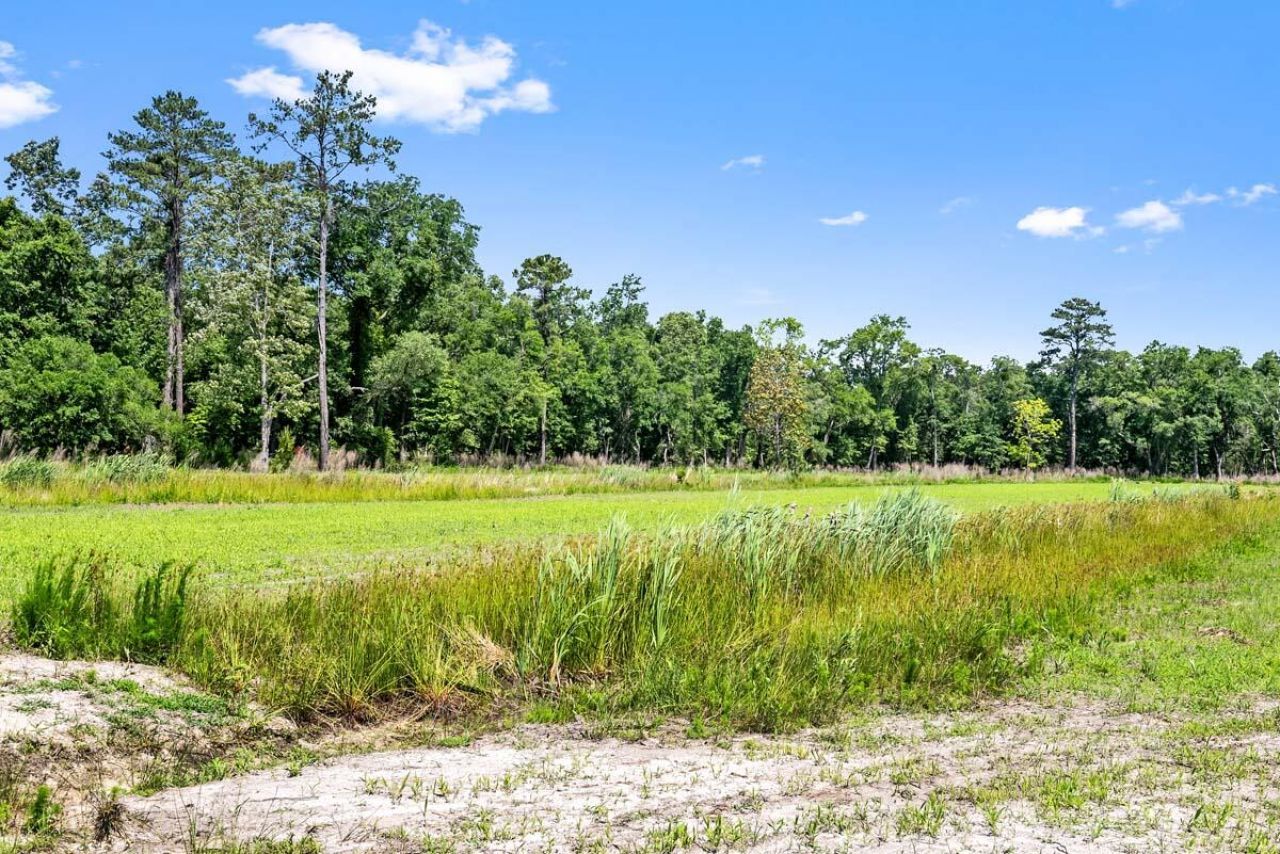 0 Allandale Plantation Road Photo 42