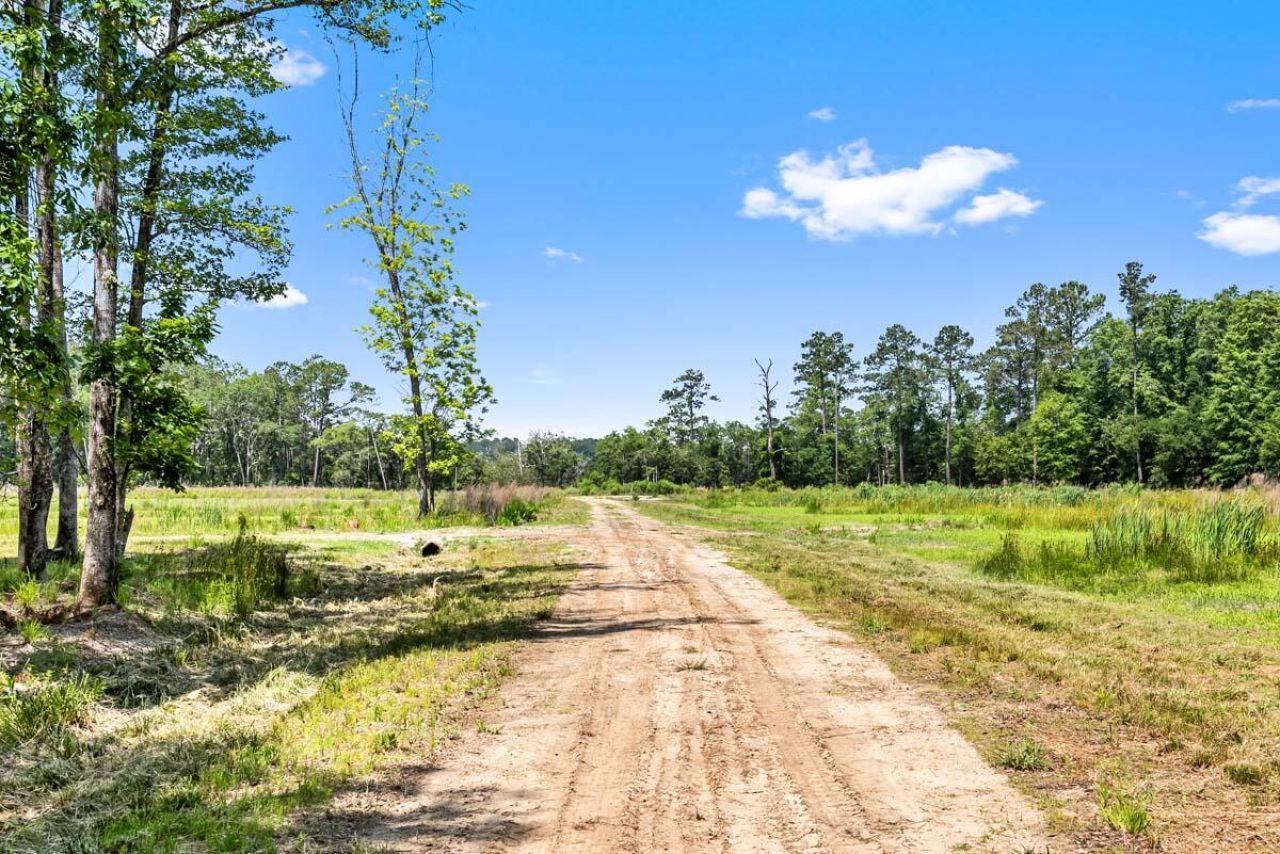 0 Allandale Plantation Road Photo 43