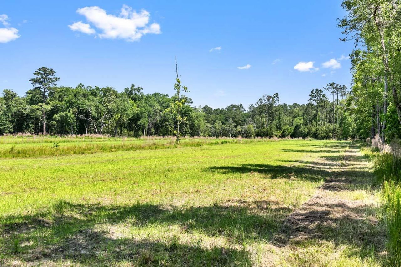 0 Allandale Plantation Road Photo 44