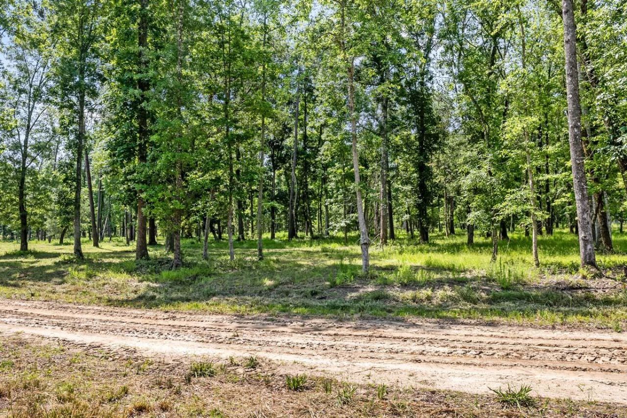 0 Allandale Plantation Road Photo 45