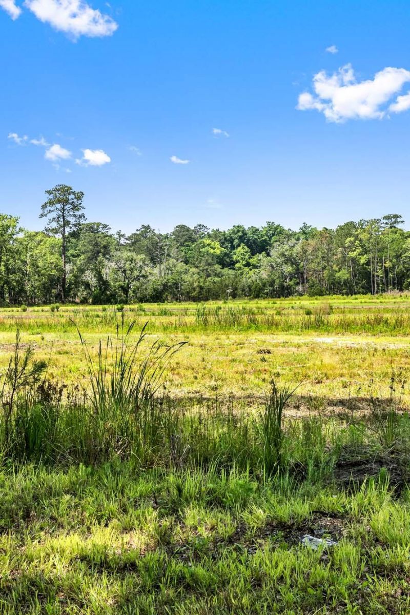 0 Allandale Plantation Road Photo 47