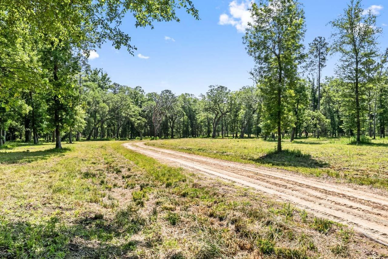 0 Allandale Plantation Road Photo 48