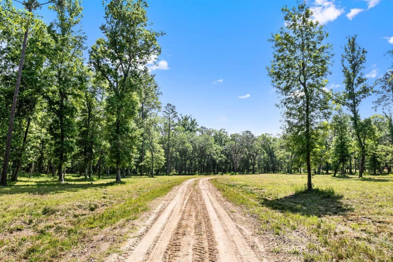 0 Allandale Plantation Road Photo 49