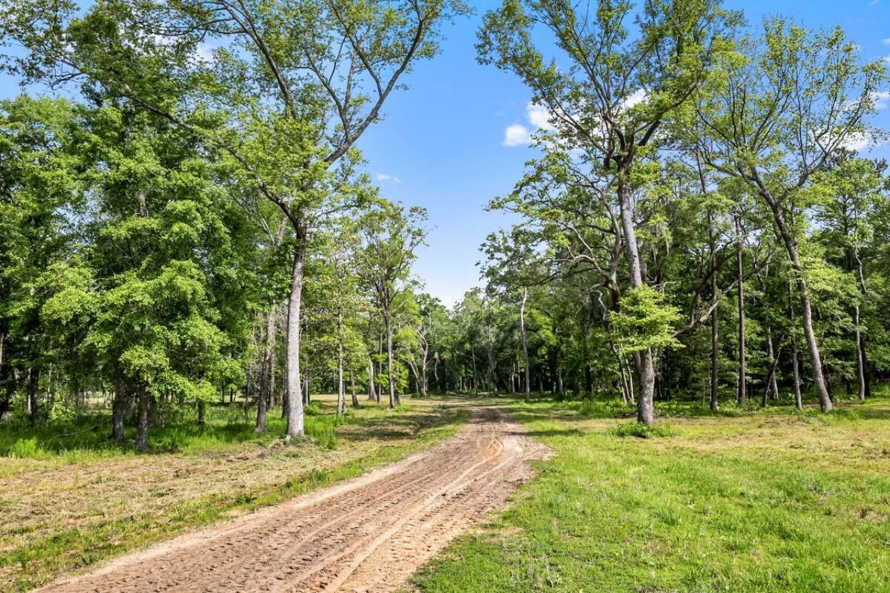 0 Allandale Plantation Road Photo 5