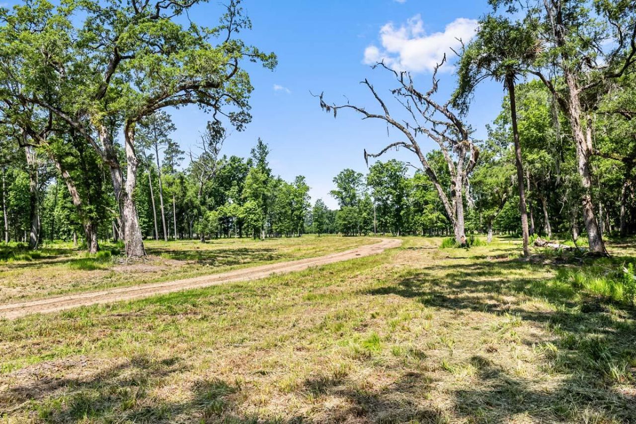 0 Allandale Plantation Road Photo 50