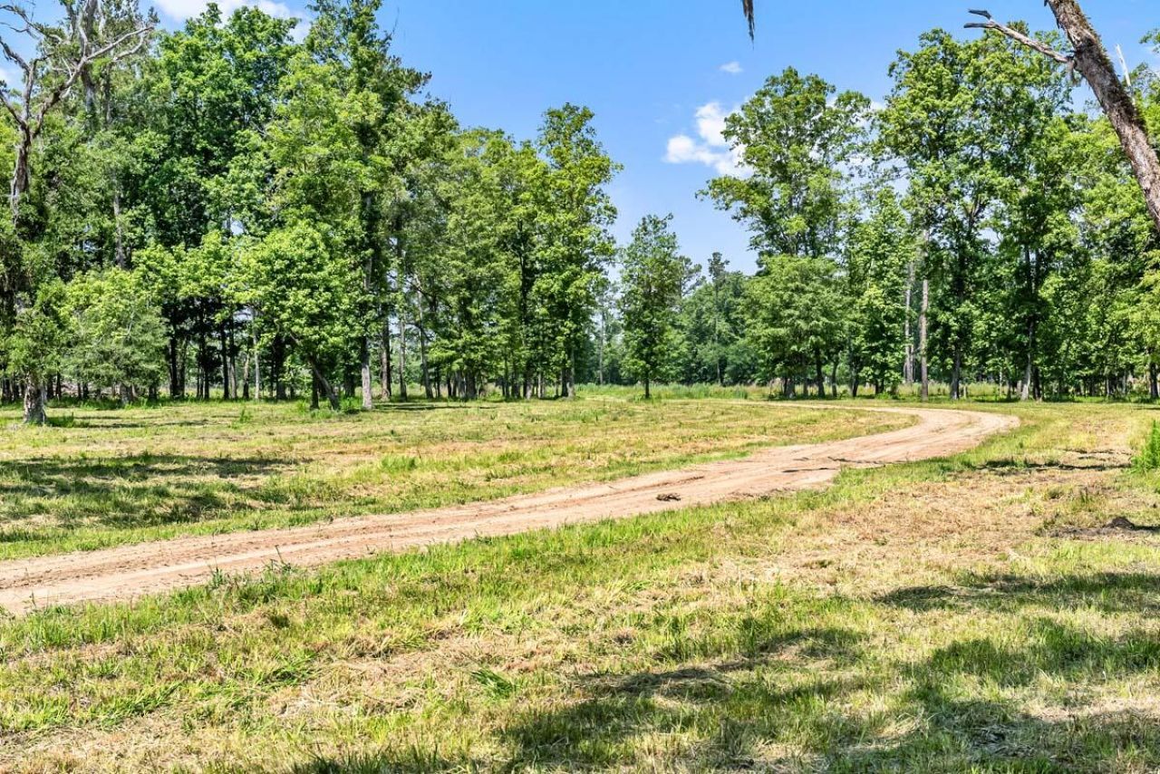 0 Allandale Plantation Road Photo 51