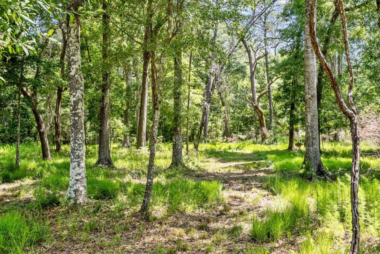 0 Allandale Plantation Road Photo 52