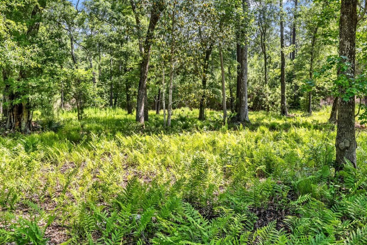 0 Allandale Plantation Road Photo 53