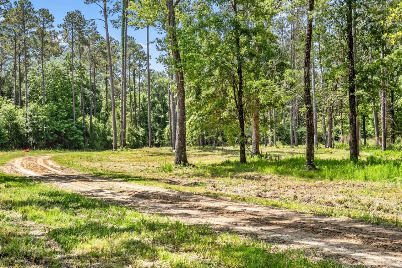 0 Allandale Plantation Road Photo 54