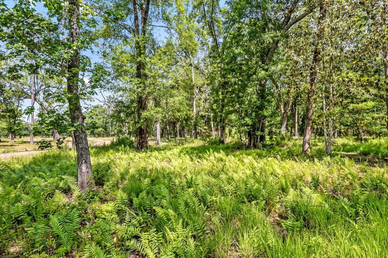 0 Allandale Plantation Road Photo 55