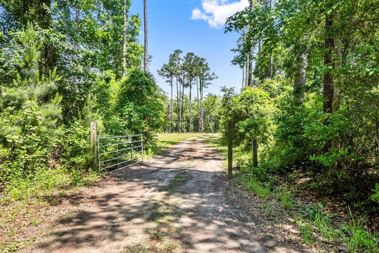 0 Allandale Plantation Road Photo 57