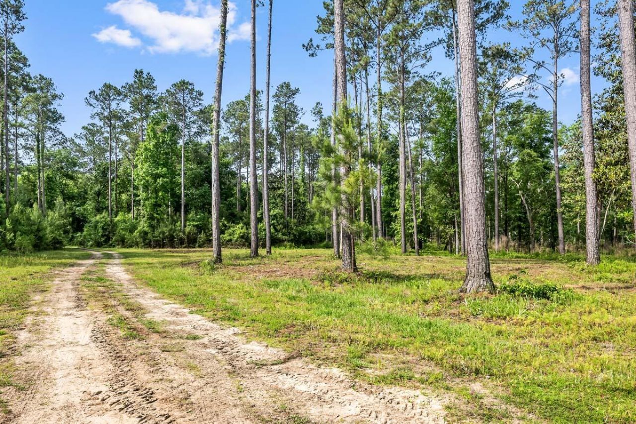 0 Allandale Plantation Road Photo 6