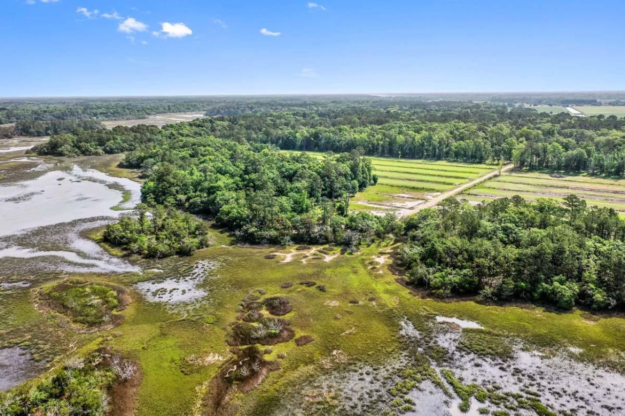 0 Allandale Plantation Road Photo 7