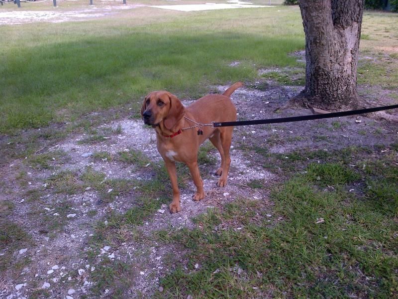 2400 S Ocean Drive, Unit 4322, Hutchinson Island, FL 34949 Photo