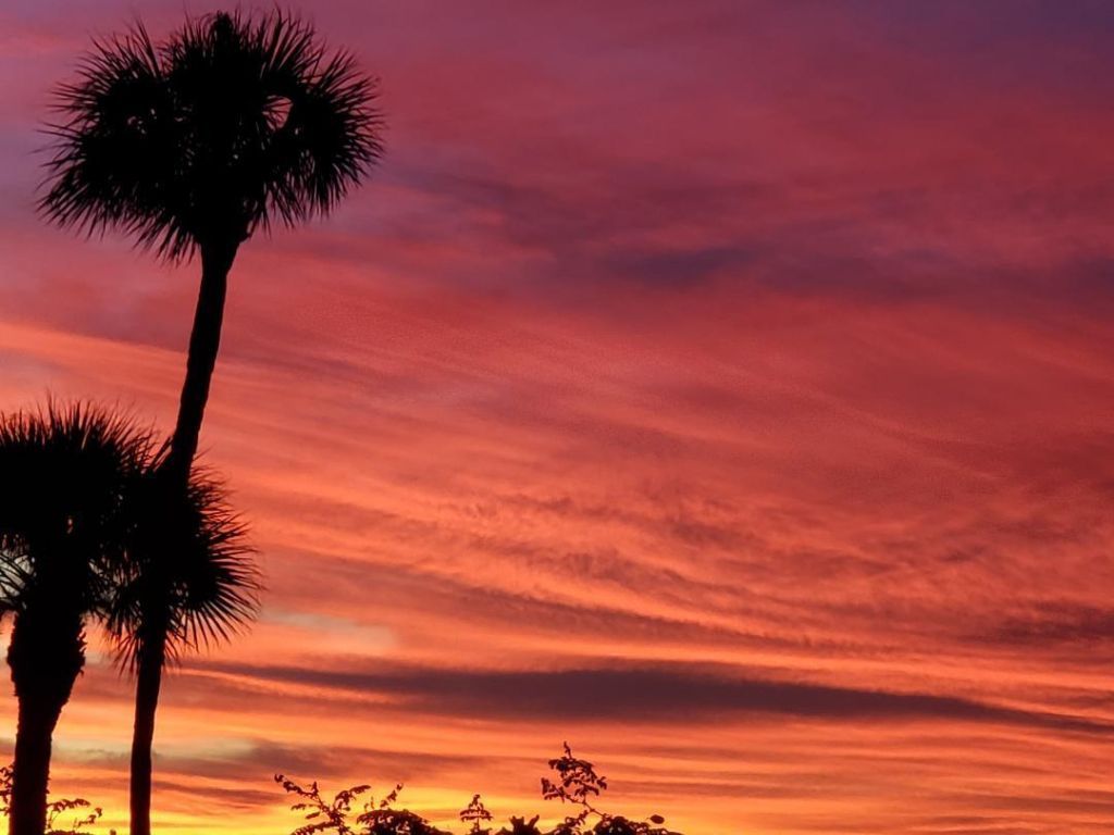 2400 S Ocean Drive, Unit 4322, Hutchinson Island, FL 34949 Photo