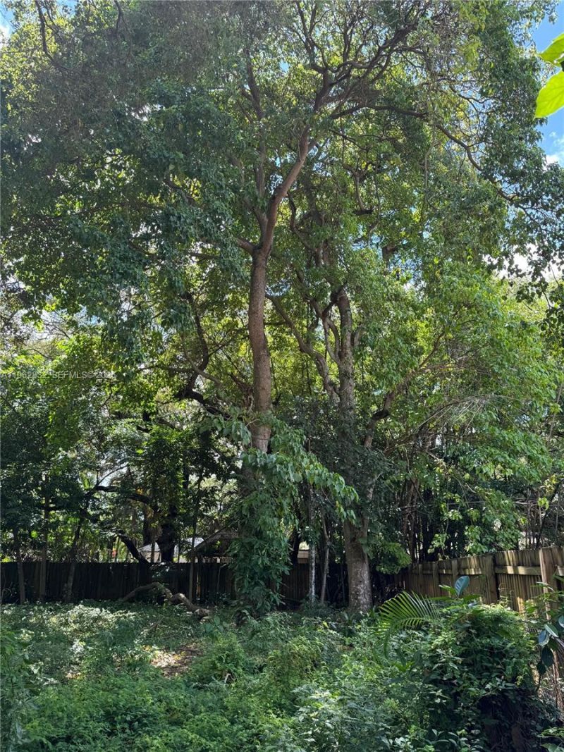 16330 NE 5th Ave , Miami, FL 33162 Photo